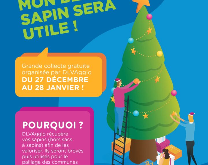 Cette année, mon beau sapin sera utile ! DLVA